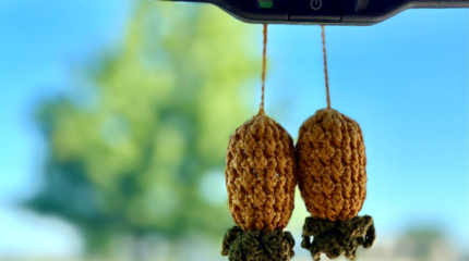 crocheted upside-down pineapples